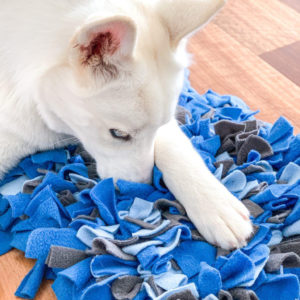 Lexa the Husky using snoofle mat medium size